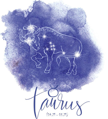 十二生肖|牛年说牛，“星”鲜的知识又增加了！