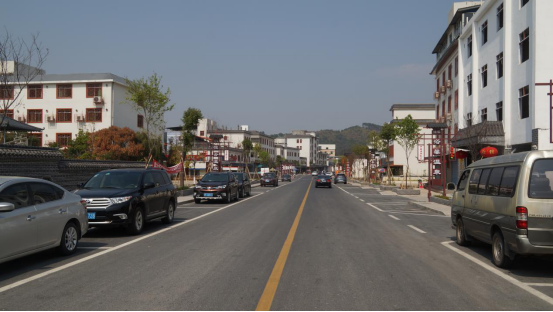 聚焦美丽乡村建设 大塘镇人大开展集中视察活动