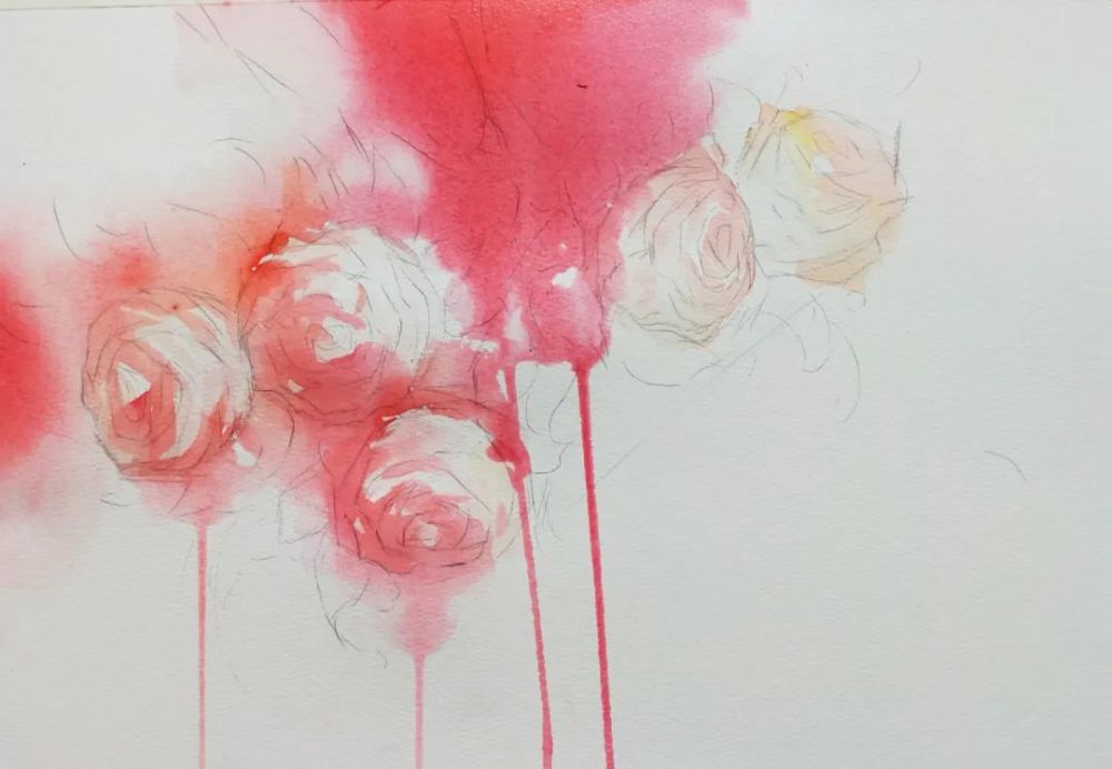 泼彩 小写意 水彩花卉课素材图 腾讯新闻