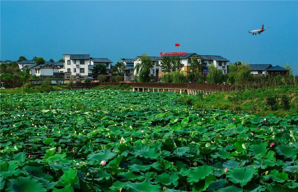 事关双流区农村土地流转管理!