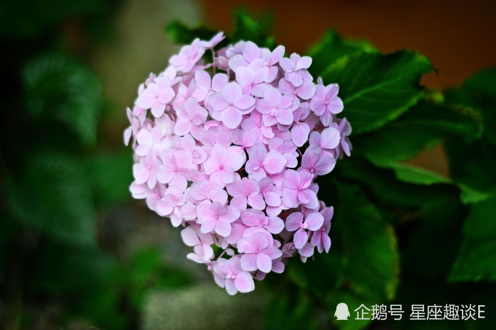 2月22日 28日星座运势 白羊魅力四射 巨蟹助人为乐 射手坚持到底 腾讯新闻