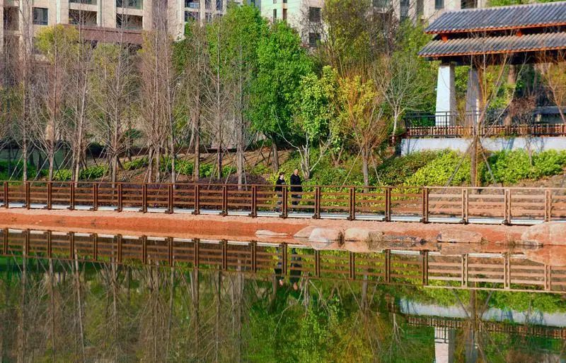 闽北美景|武夷新区:新晋"网红"云谷水系公园水靓景美人气旺!_腾讯新闻