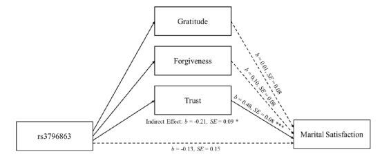 婚姻|婚姻幸福也遗传？研究表明，拥有这种基因突变的人，夫妻关系更融洽