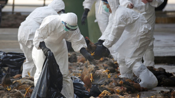 新冠尚未结束,俄罗斯发现新疫情:首次出现人类感染h5n8病毒