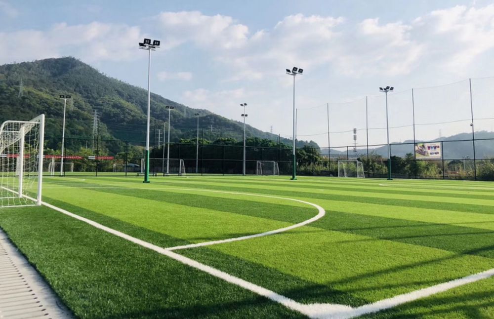 国家体育总局发改委到2025年社会足球场地全面开放