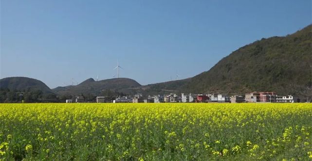 王建球到楊梅山鎮,玉溪鎮調研鄉村振興工作