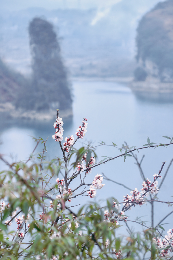 春暖花开贵阳永乐湖风景如画