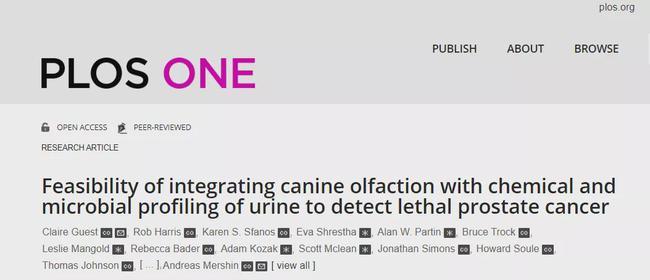 人工智能|可与“狗鼻子”媲美的AI癌症检测系统问世，或装在你的手机中