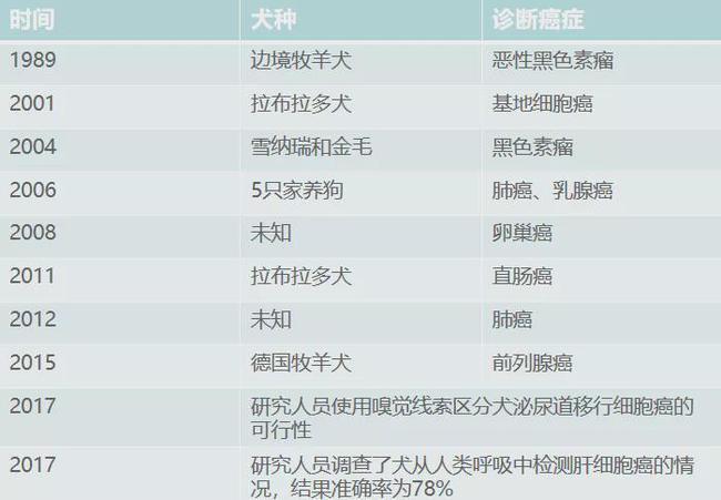 人工智能|可与“狗鼻子”媲美的AI癌症检测系统问世，或装在你的手机中