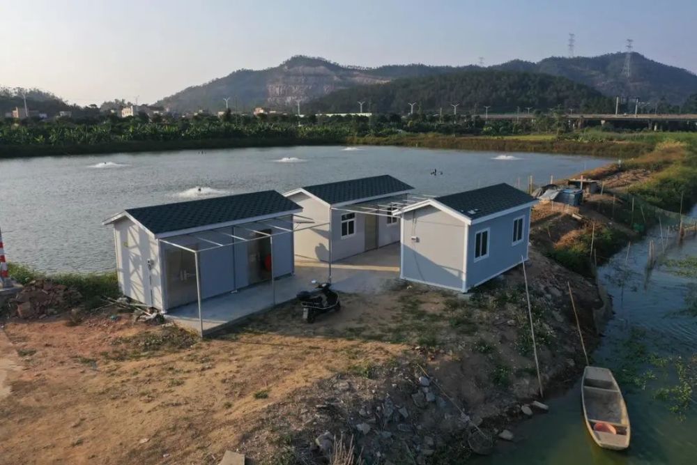 杨培建崭新的鱼塘"看护房"是一座两层复式房型:灰色外墙,墨绿色斜坡