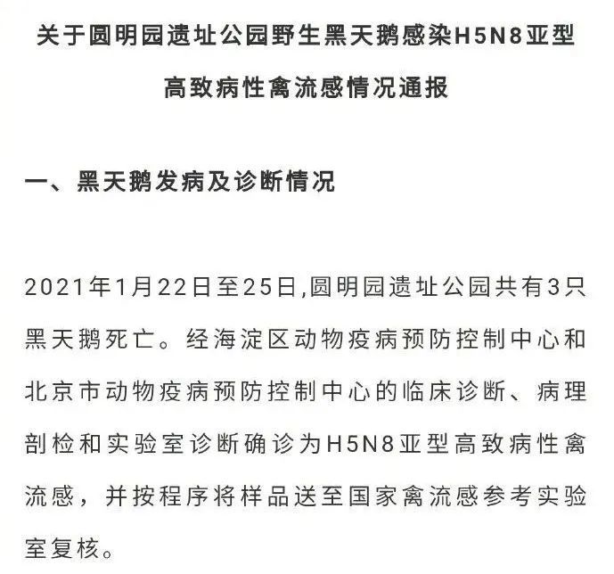 禽流感病毒|首次传染人类！俄罗斯7人感染H5N8型禽流感病毒，鸡鸭鹅还能吃吗？