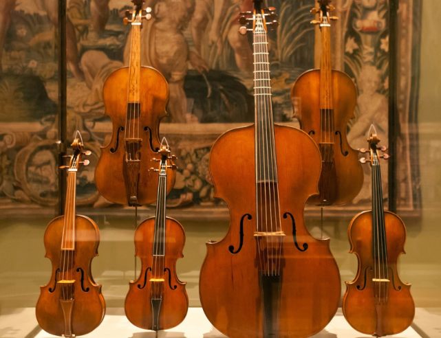 更多图片 >小提琴,中提琴,大提琴和低音提琴都属于是提琴家族的乐器