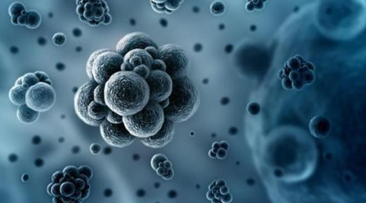 俄罗斯|全球新冠疫情还未平息，又一新病毒在俄罗斯出现，已有7人感染