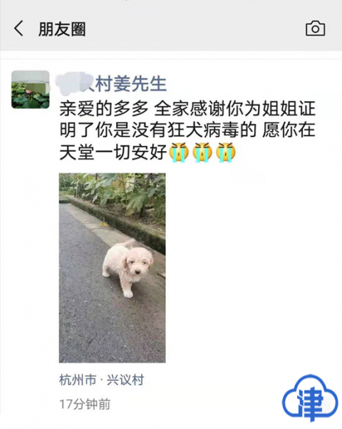 狂犬病毒|杭州“患狂犬病”女孩抢救两月后过世，疑似“病源犬”经确认无病毒