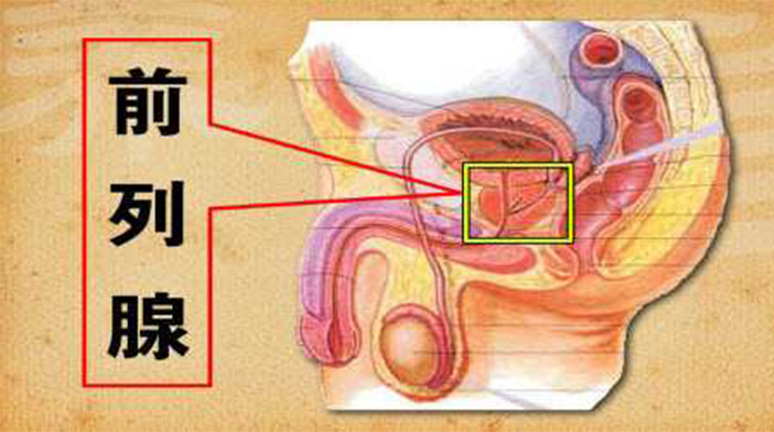 葡萄酒对前列腺有好处吗(喝葡萄酒对前列腺有什么好处)