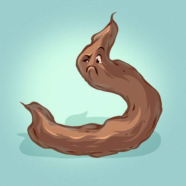 宠物知识:你知道如何通过狗狗的便便,来分辨狗狗的健康情况吗?