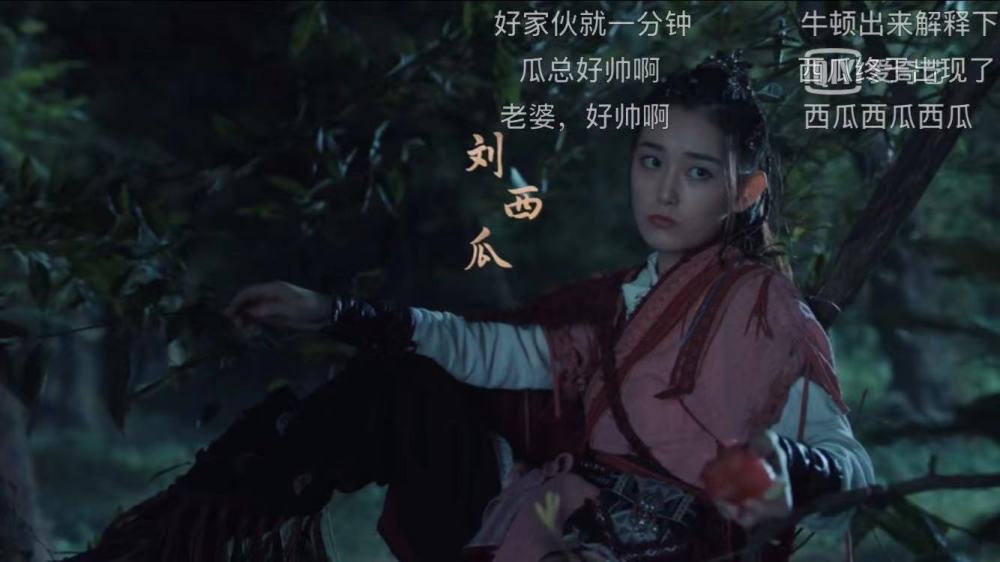 赘婿刘西瓜上线宁毅苏檀儿圆房宁毅开启第二阶段的赘婿生涯