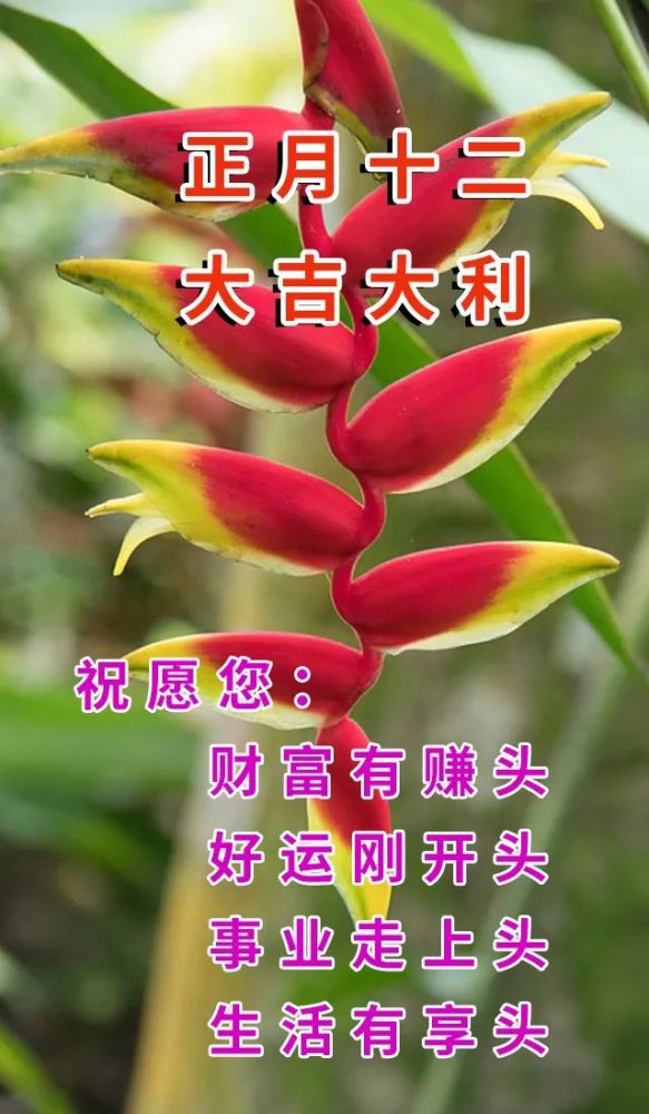 22正月十二拜年祝福语大全简短 大年十二早上好表情图片带字带祝福语句子 腾讯新闻