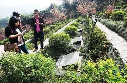 张国荣豪华墓地面积100平安装红外线如今葬着素不相识的他