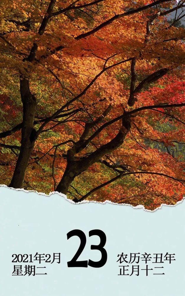 日历2021年2月23星期二