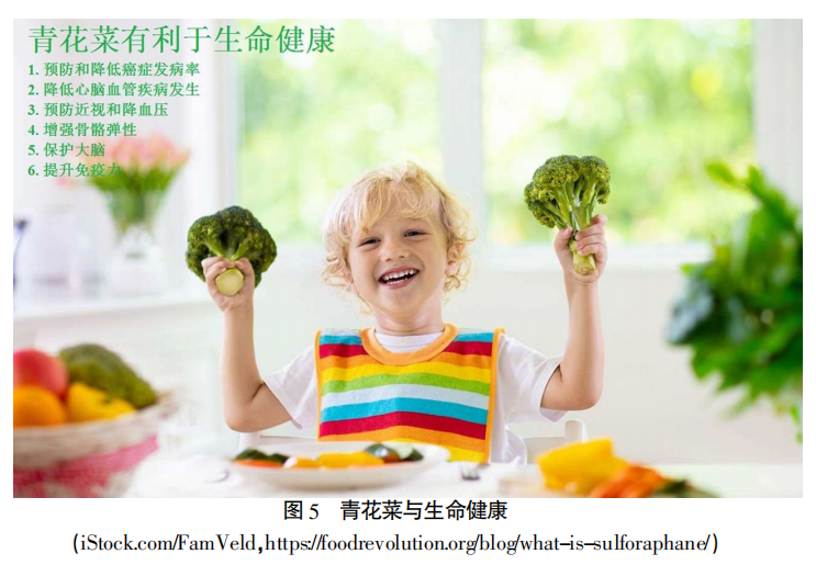 重磅揭晓 全国青花菜种植分布情况和价格变化 附专家预测 腾讯新闻