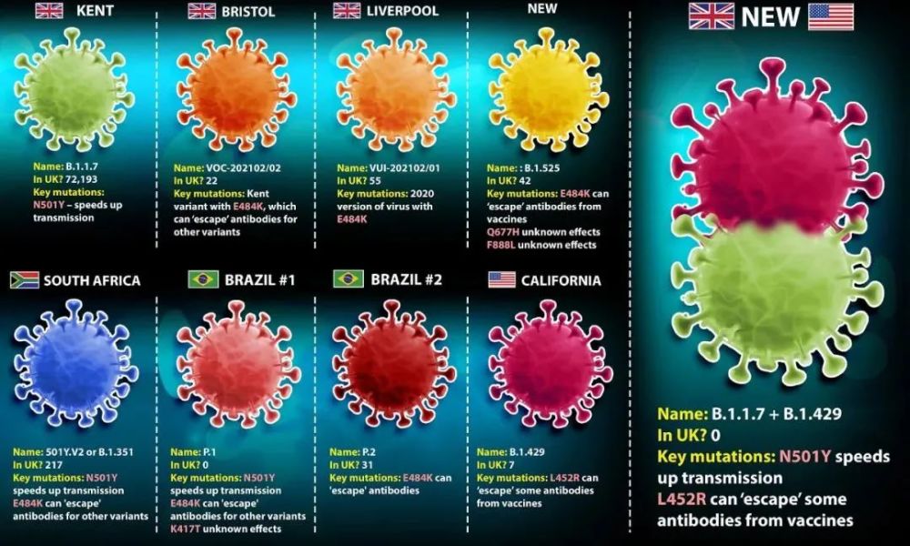 疫苗|全球新增病例连续下跌，疫苗是否疫情的终结者？
