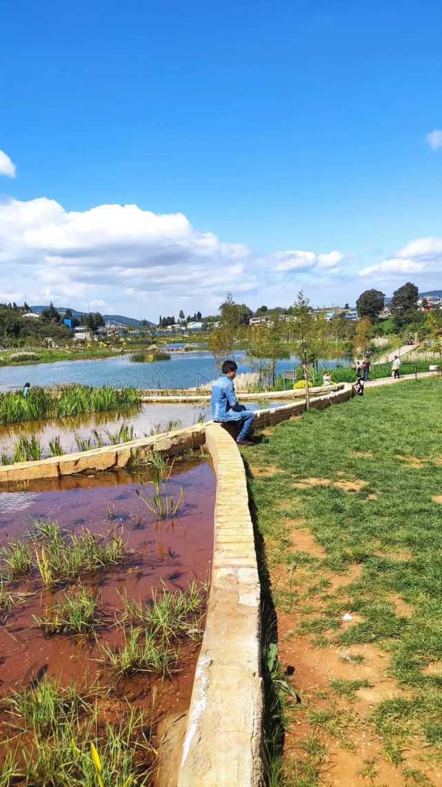 红米redmi 10x 4g微距实拍,微距拍摄照片放大依然清晰.