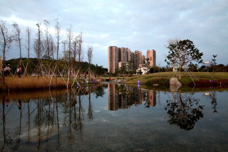 光明楼村湿地公园图片