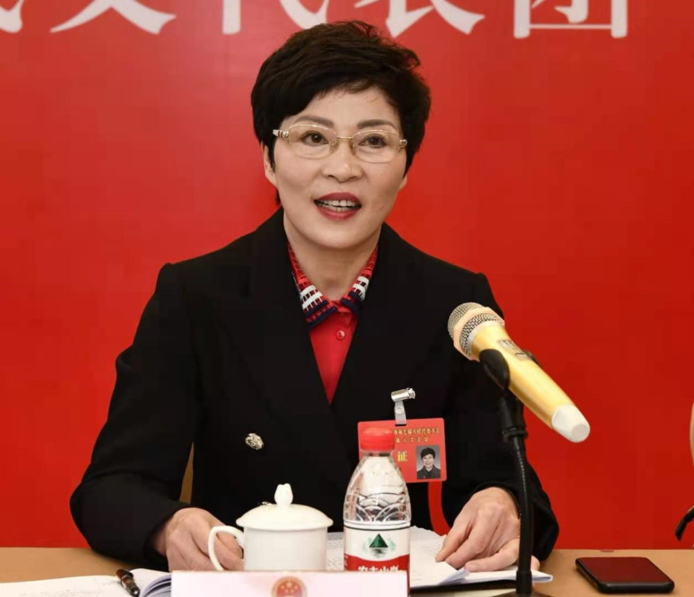 陈玲玲在参加武义代表团审议时强调奋力开启新征程全面展现新气象