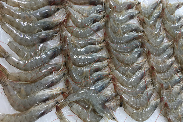 甲状腺结节|查出甲状腺结节，别担心，尽早将3物拉入黑名单，结节会慢慢变小