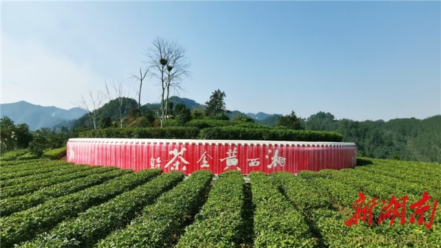 湖南日报丨金饭碗终于名副其实村级样本30例之吉首市隘口村