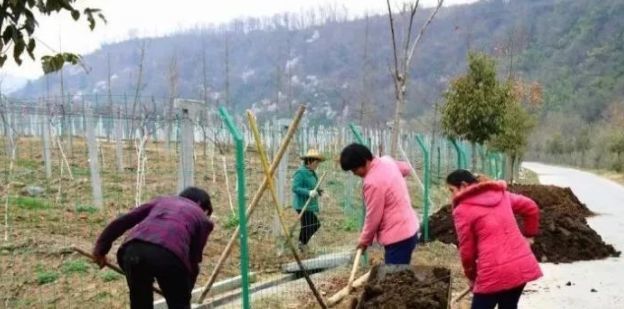 果园|坚决反对开春旋耕果园，别再执迷不悟！