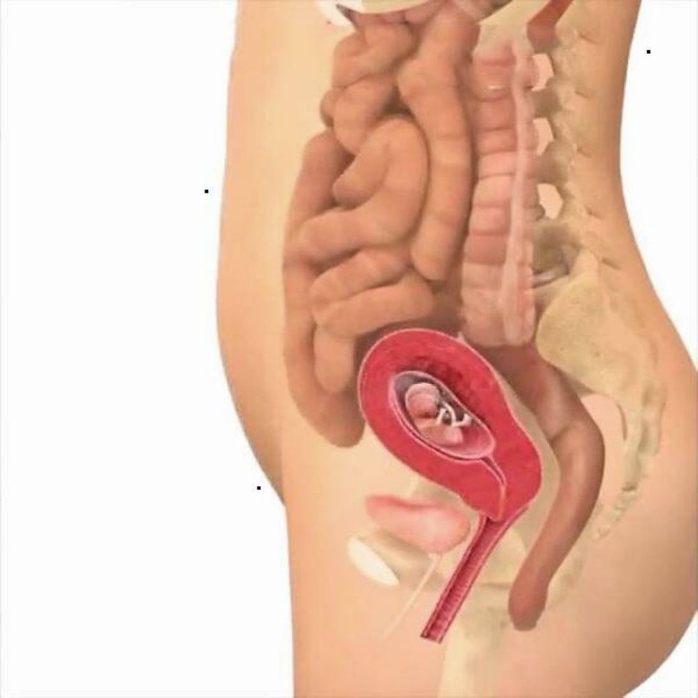 准妈妈怀孕每个月应注意什么