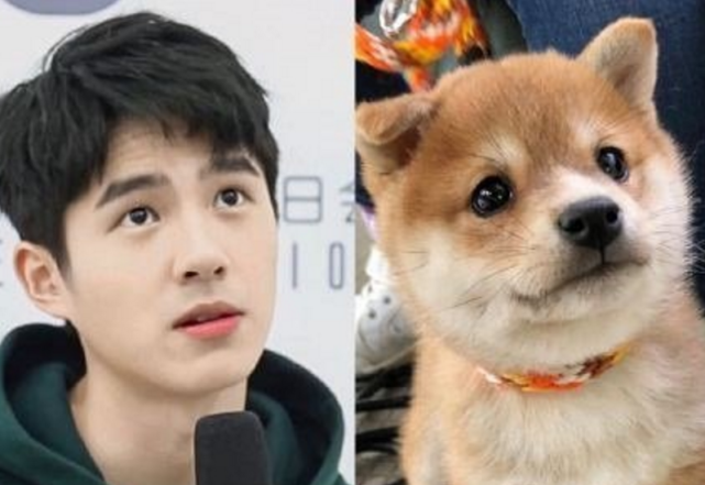刘昊然童年旧照曝出,又跟柴犬对上图,网友还直呼这是安吉本吉!