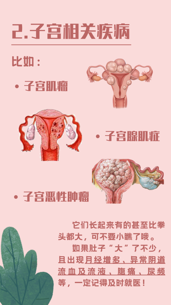 减肥|【健康科普】肚子大了就是胖？肉肉说这个锅我不背！