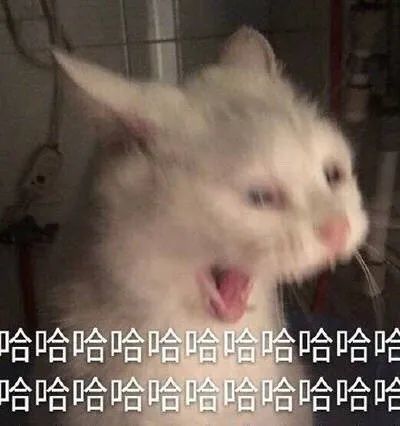 魔性哈哈大笑搞笑斗图表情包大全