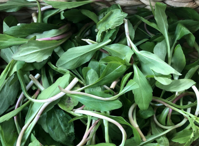 骨骼强壮,孩子补钙又长个|马兰头|补钙|野菜|马兰头拌香干|香干|骨骼