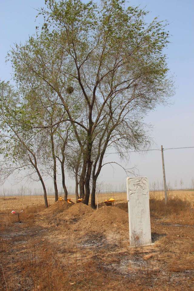 祖坟头上长草好不好,长树有什么说法?