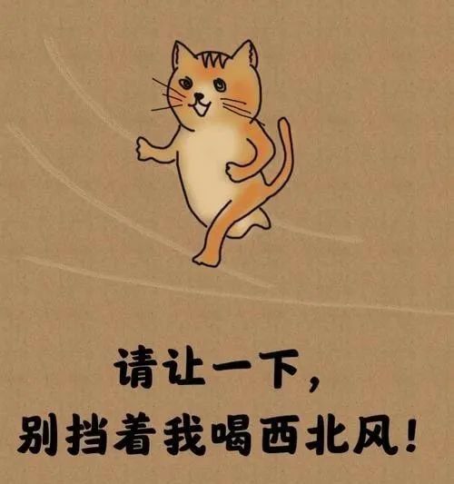 爆笑经典冷笑话,网购了一箱黄瓜,结果到货的时候发现都冻坏掉了