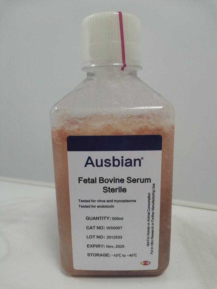 β淀粉样蛋白|睡眠不足与脑中“橡皮檫”有关