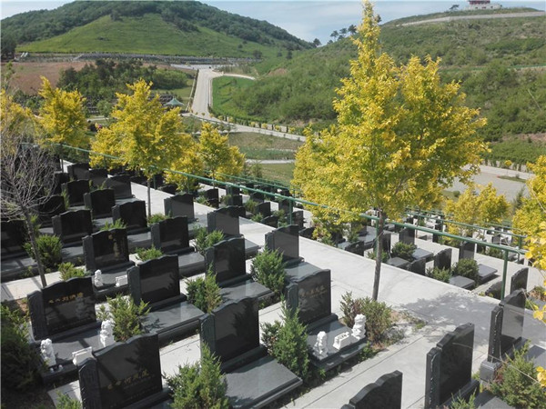 意外丧失行动能力,失踪多日,却早已死亡|警方|台湾|公墓|扫墓