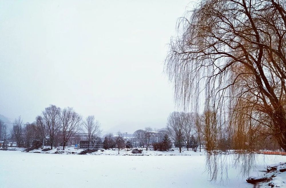 冬奥延庆 春雪好美～_腾讯新闻