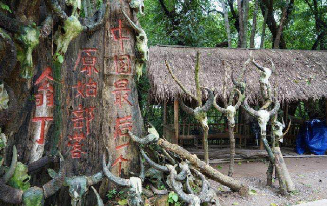 原始部落"发生火灾|村落|翁丁村|云南|云南省临沧市|沧源佤族自治县