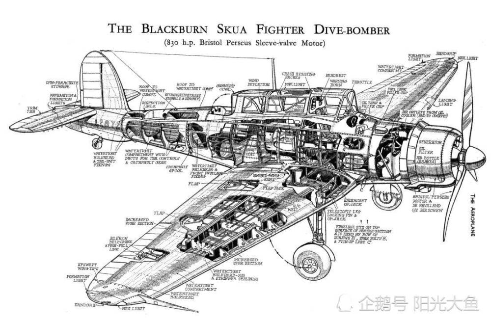 二战英国佬战机7"贼鸥"俯冲轰炸机