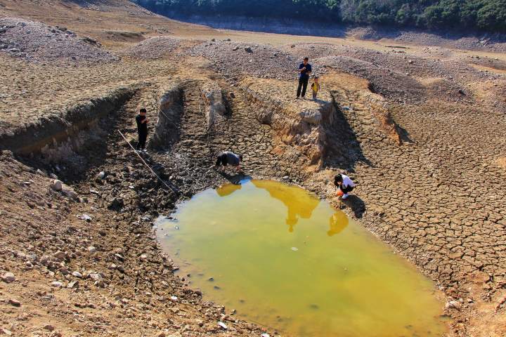 宁波皎口水库见底,被淹古村重见天日,成网红打卡点,连挖宝的都来了