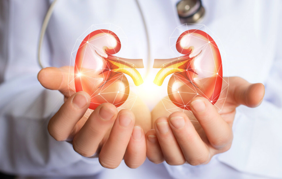 尿酸|藏在厨房中的“嘌呤大户”被发现，医生：多喝一水，助你稳降尿酸