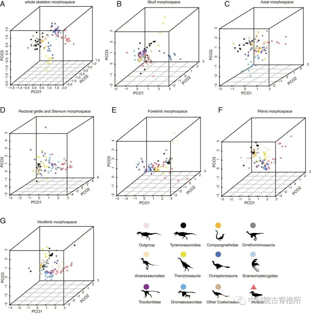 余逸伦|【科研速报】研究显示鸟类多样性演化受气候变化影响
