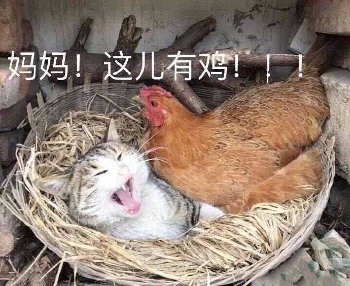 沙雕表情包有快乐星球