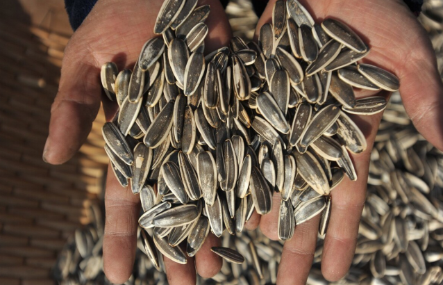 血管|血栓最怕“一种水”，不是绿豆汤，你若常喝，血管会感激你