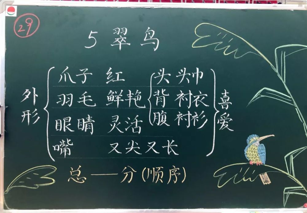 90后老师板书走红粉笔字堪比印刷体谁说年轻人的字拿不出手